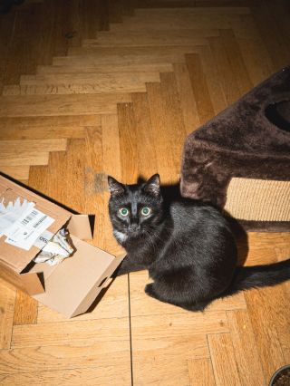 Když jsi prošvihl*a slevu na rýsy, ale záhy zjistíš, že stejně můžeš dostat 10%, když se na eshopu zaregistruješ k...